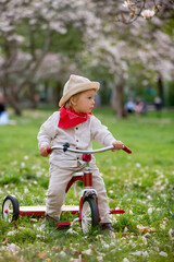 Child, boy in spring park with blooming magnolia trees
