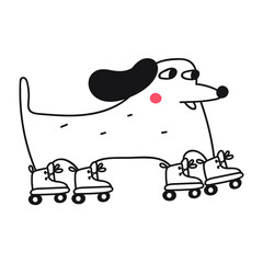 Outline icon. Dachshund rides on roller skates. Vector illustration. 