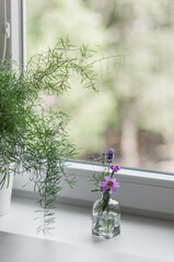 A small bouquet of wildflowers in a glass vase on a windowsill next to an asparagus in a white planter.