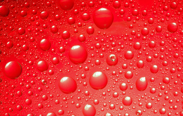 red  water drops background.close up of water drops... 