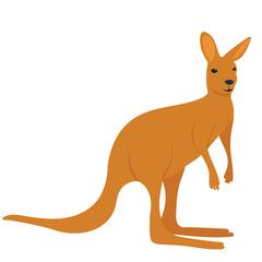 kangaroo flat design, isolated, vector