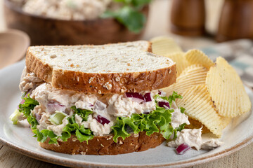 Tuna salad sandwich on whole grain bread