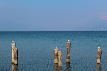 pier on the lake