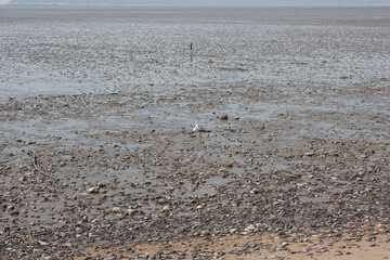 It is a beach with tidal flats.