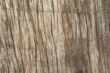 pattern of the old wooden plank is yellow hardwood, natural wood used to decorate the house to be beautiful and protect against robbers and criminals.