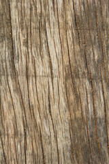 pattern of the old wooden plank is yellow hardwood, natural wood used to decorate the house to be beautiful and protect against robbers and criminals.