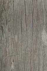 pattern of the old wooden plank is yellow hardwood, natural wood used to decorate the house to be...