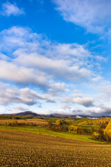 10月の北海道美瑛、紅葉と朝靄・日本