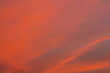 The sky is a horizontal line of yellow-orange and colorful colors in the beautiful evening in the midst of nature which is peaceful, warm and romantic in the countryside and is extremely beautiful.