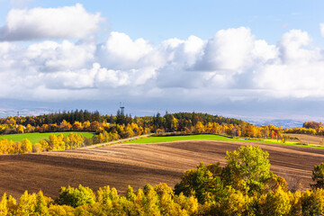 北海道美瑛、10月の紅葉風景・日本