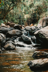 Fototapeta premium Namtok Pa La U beautiful waterfall forest mountains, Kaeng Krachan National park, Huai Sat Yai, Hua Hin District, Prachuap Khiri Khan, Phetchaburi, Thailand.