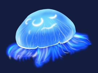 みずくらげ背景あり © 理恵 糠塚