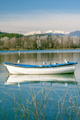 Wooden rowboats on a lake and with seagulls