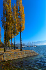 Herbststimmung am Seeufer Luzern - Schweiz