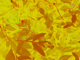 Naklejka na ściany i meble light yellow and dark yellow leaf abstract texture