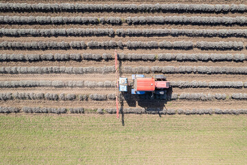 Aerial top down view of tractor spraying lavender field in springtime.