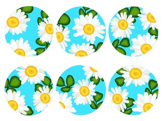 Fototapeta na wymiar Set of chamomile flowers in round frames. Space in blue with clover leaves and chamomile flowers. Simple vector illustration for print. Suitable for storytelling, manicure. Round icons.