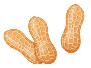 Peanut. Nuts in shell and peeled in cartoon style. Healthy vegetarian snack.