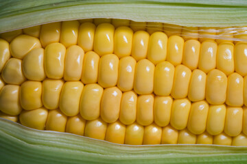 Super close up of the fresh corn