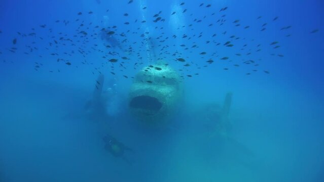 Image of crashed plane and school of fish under the sea.
