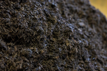 藍染め原料のスクモ