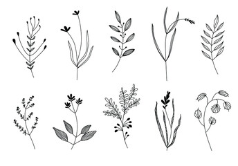 Vector illustrations - a set of graphic flowers, plants. 10 hand-drawn sketch-style design elements. Perfect for creating prints, patterns, tattoos, etc.