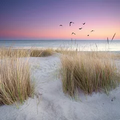 Fotobehang Lavendel zonsopgang op het strand, natuurlijk landschap