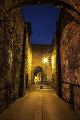 Fototapeta na wymiar Gradisca D'Isonzo Gorizia italy Town medieval walls entrance panoramic vertical