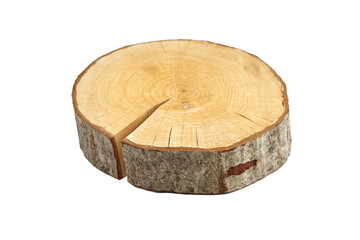 Wood slice with bark isolated on white