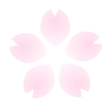 Simple cherry blossom icon (gradation) isolated