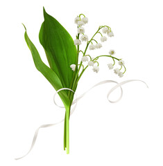 Bouquet of lily of the valley flowers with satin waved ribbon isolated
