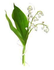 Bouquet of lily of the valley flowers with satin waved ribbon isolated