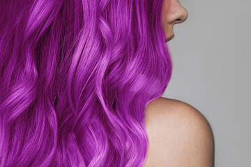 Close-up of the wavy hot purple hair of a young woman isolated on a gray background. Result of coloring, highlighting, perming. Bright saturated extravagant color. Beauty and fashion