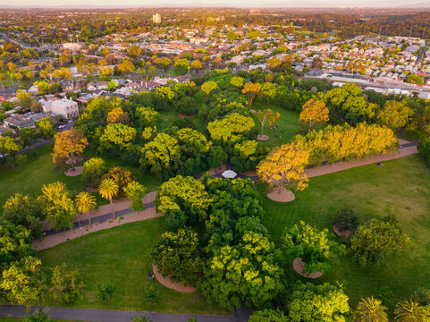 Aerial view of an inner city park and suburb in late afternoon light