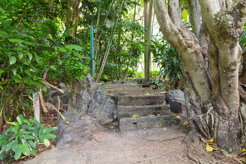 Kleine Steintreppe im Park