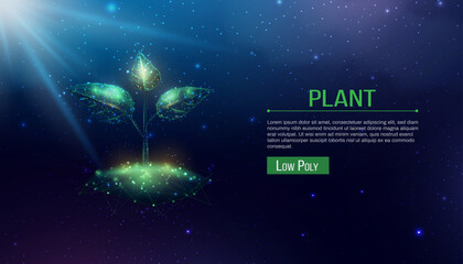 Plant sprout. Growing plant in low poly wireframe style. Abstract modern 3d vector illustration on dark blue background