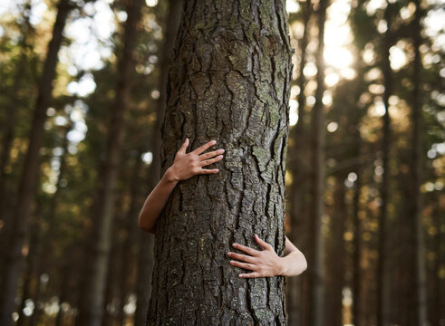 Trees deserve love too. Shot of an unidentifiable young woman hugging a tree in the forest.