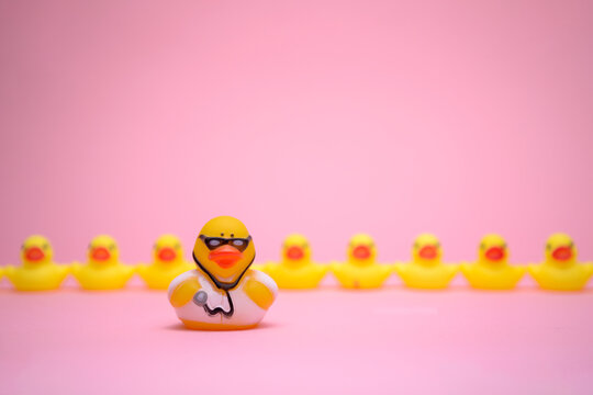 Doctor in front of row of ducks