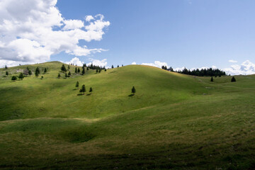 Fototapeta na wymiar green hills at Velika Planina in Slovenia