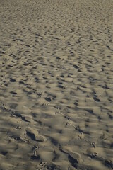 Traces and footsteps in the North Sea beach sand at dusk, use: background, copy space, concept: holiday, relax (vertical), Zandvoort, North Holland, Netherlands