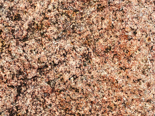 texture of the sand