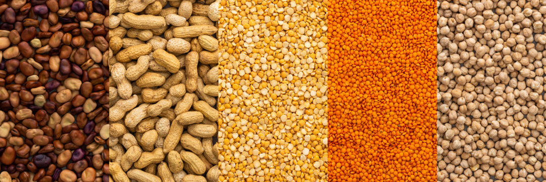 Different types of legumes banner, chickpeas and yellow peas, brown beans and lentils and peanuts, top view