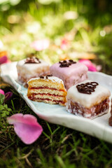 Petit Four in der Natur