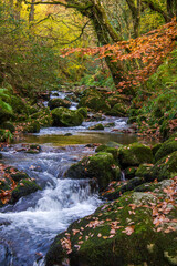Fototapeta premium Autumn on the Glenary River