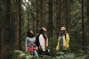 Friends admiring nature during a hike - obrazy, fototapety, plakaty