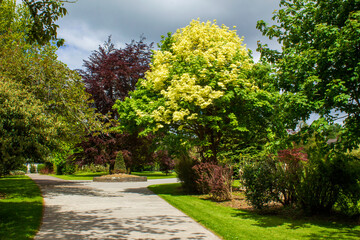 Colorful landscape of city park