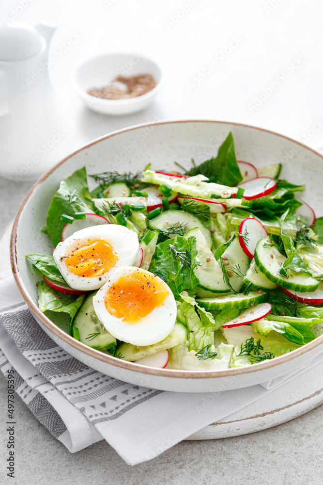 Poster Salad with radish, cucumber, romaine lettuce and soft boiled egg