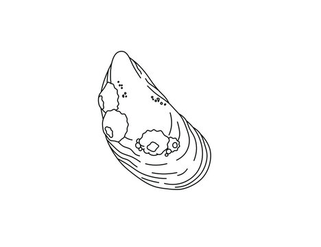 Mussels clip art preview