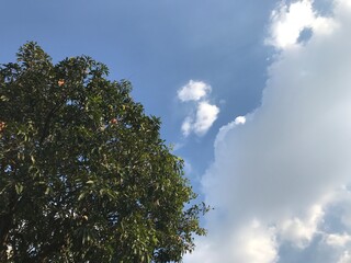 Obraz premium clouds in the sky