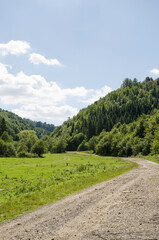 Fototapeta na wymiar Beautiful view of the Ukrainian mountains Carpathians